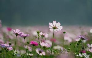 别人明摆着欺负你的表现