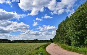 修心养性静心短句