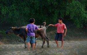 六月生的人命好不好