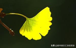 白羊座命中注定的情人