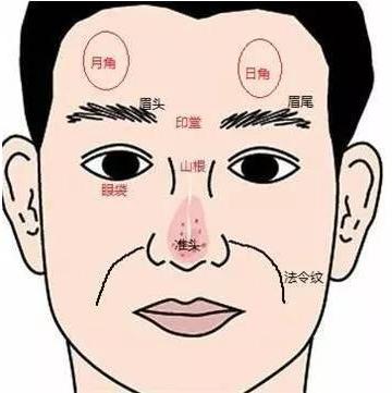 日月角位置(日月角突出女人面相)