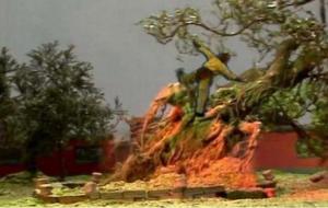 观音手里的瓶子叫啥(玉净瓶)