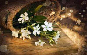 说话声音大的人性格和层次