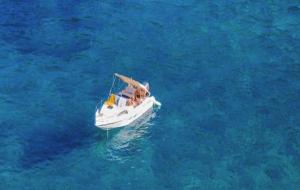 碧池是什么意思