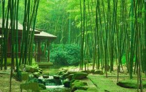 王维最有名的十首诗(王维名诗排行榜)