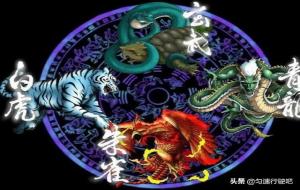 左青龙,右白虎,前朱雀,后玄武指什么