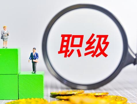 二级巡视员是什么级别