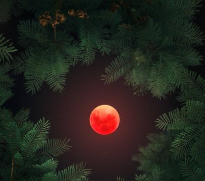 血月出现意味着什么(血月是怎么形成