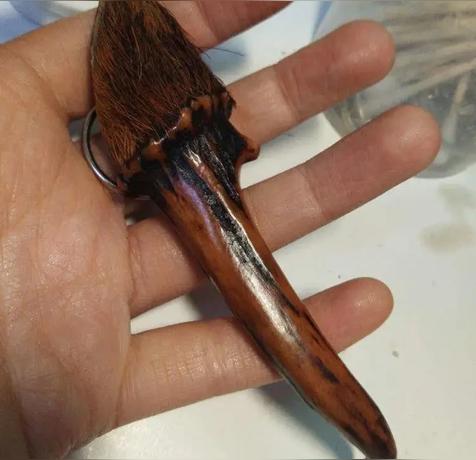 麂子角辟邪的用途说法