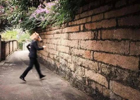 不撞南墙不回头的意思