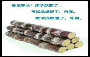 掂过碌蔗什么意思