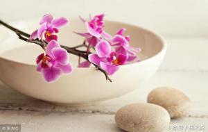 良言一句三冬暖,恶语伤人六月寒