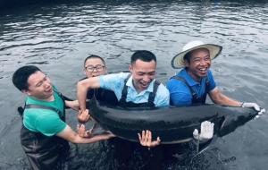 鱼子酱是什么东西