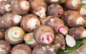芋艿头的营养价值及功效