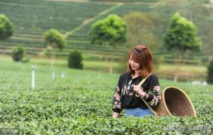 农谚有哪些(农谚谚语大全)