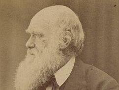 达尔文主义的观点与含义