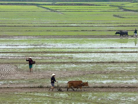 种地农民有存款吗现在