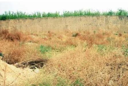 耕地抛荒是什么问题