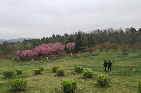 务虚工作什么意思（务虚的工作有哪些）