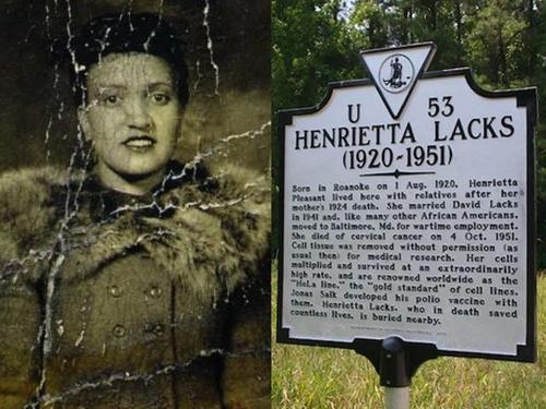 海拉细胞为什么会永生