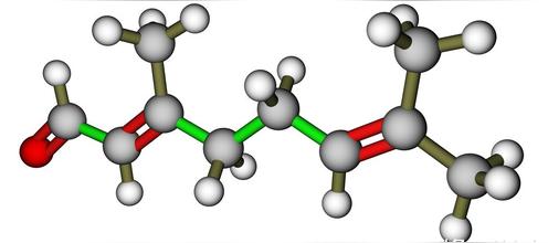 费洛蒙是什么东西:爱情的化学物质