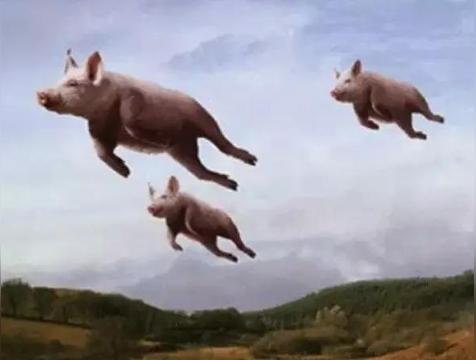 错过了股票，错过了房地产，错过了电商