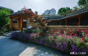 桑梓指什么意思（桑梓的含义）