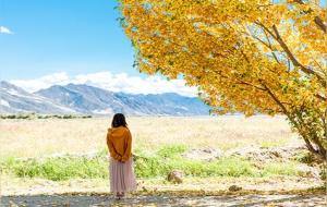 不敢苟同怎么理解（可以表达什么）