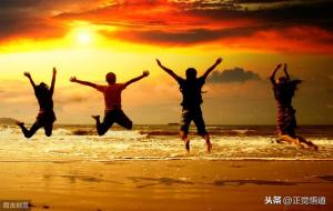 看透却要装傻的句子