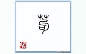 苟苟营是什么含义