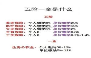 五险二金的二金是指什么