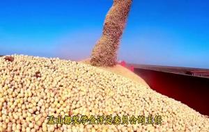 谁让转基因进入中国