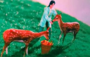 夫复何求意思是什么