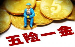 五险一金指什么(大白话一听就懂)
