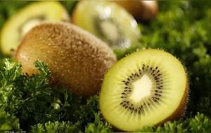 猕猴桃的热量(吃猕猴桃有什么好处)