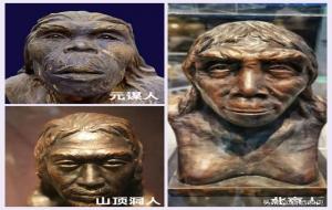 山顶洞人和北京人有什么区别