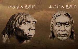 北京猿人与山顶洞人的区别