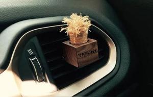 车载香薰哪个好(车载香薰品牌排行前十名)