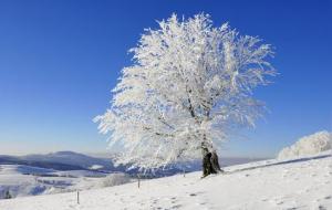 雪是怎么形成的(雪产生的过程)