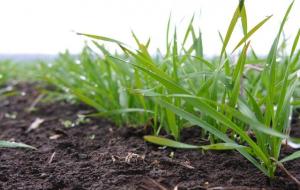 农事活动有哪几种