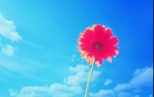 简短哀悼语八个字(节哀的暖心句子)