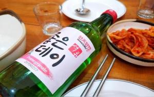 真露酒的度数(真露酒好喝吗)