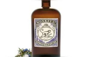 金酒是什么酒(金酒兑什么好喝)