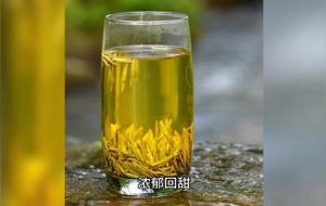 蒙顶茶属于什么茶