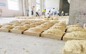 坤沙酒是什么意思