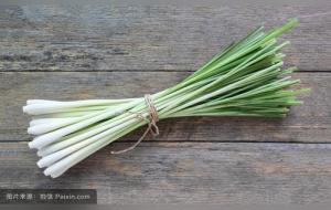 香茅是什么东西(香茅草的功效与作用)