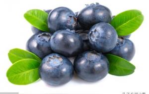 越橘和蓝莓的区别