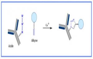 点击化学（合成概念）