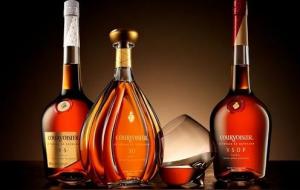 白兰地是属于什么酒