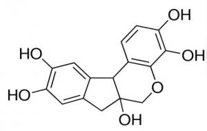 苏木精是碱性还是酸性